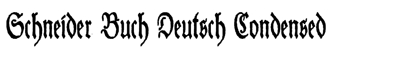 Schneider Buch Deutsch Condensed